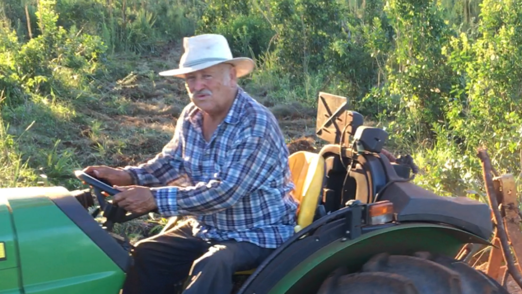 An Argentinian man driving a tractor throughout fields of Yerba Mate