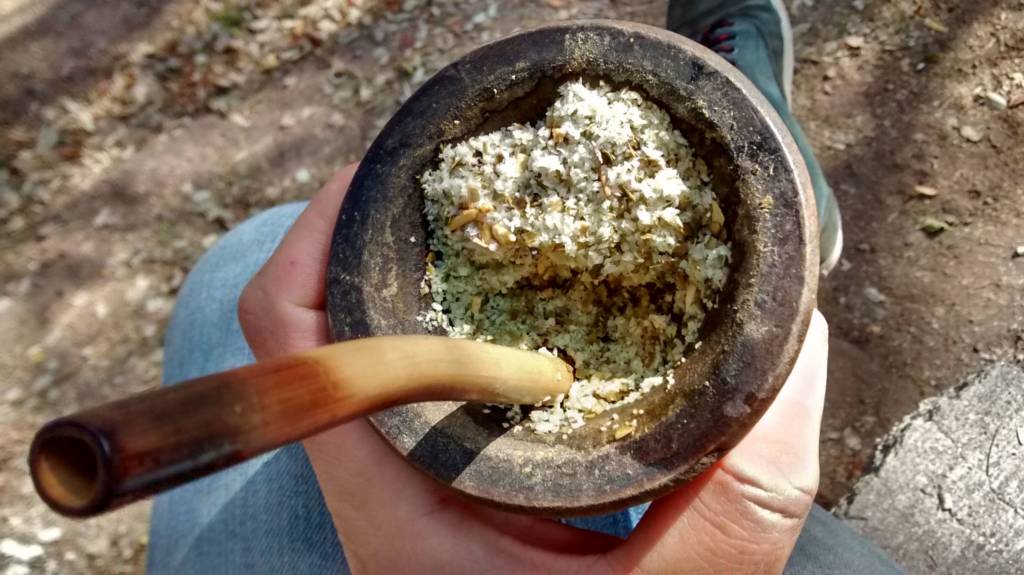 Yerba Mate with coconut is delicious!
