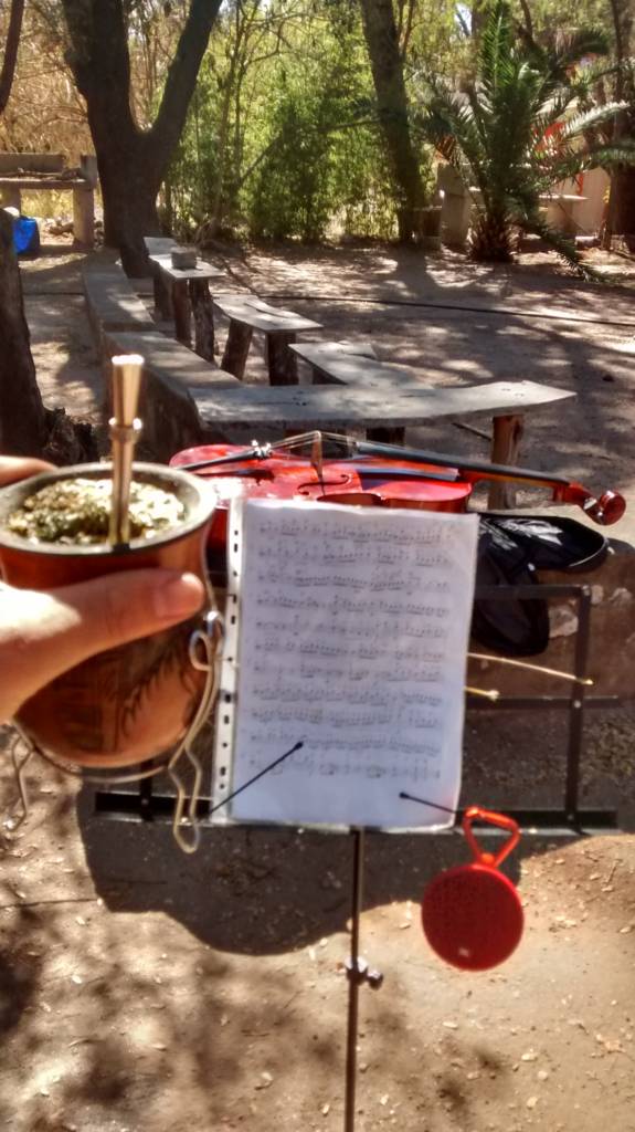 Just a normal day of playing music with the help of my partner, Yerba Mate