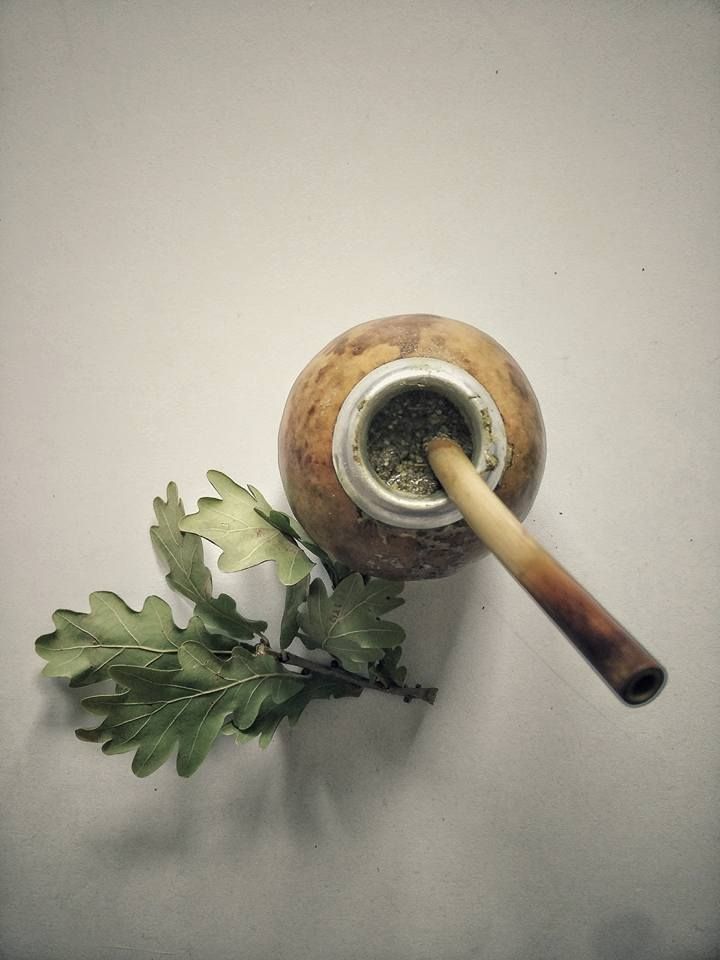 Yerba Mate gourd, fresh leaves and a bamboo bombilla