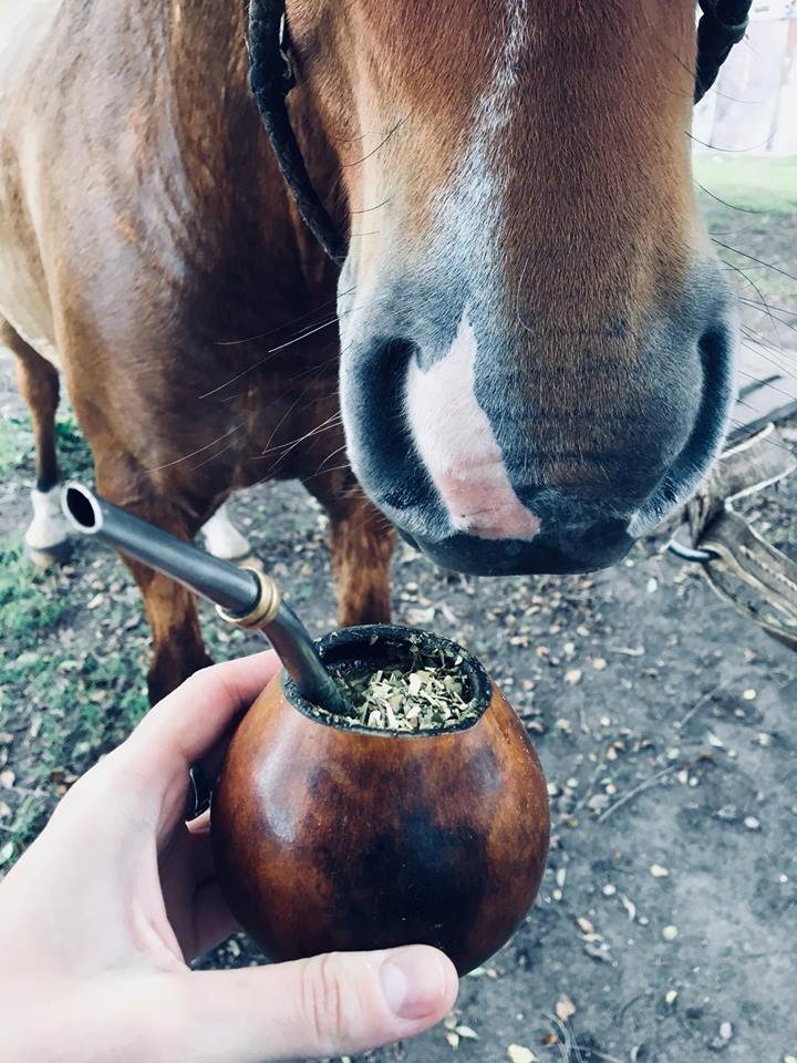 After a whole day riding horses all you need is a beautiful hot and bitter mate