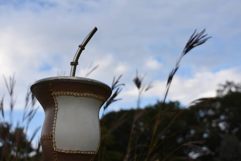 A beautiful gourd of Yerba Mate flowing in the wind