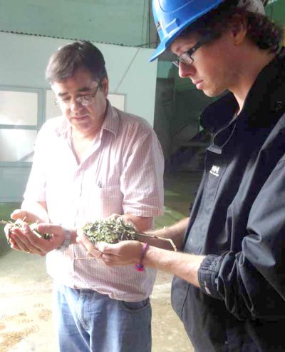 Sourcing the highest quality yerba mate