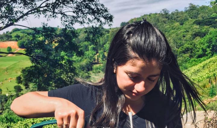 Consumir yerba mate é um ritual diário para muitas pessoas na América do Sul