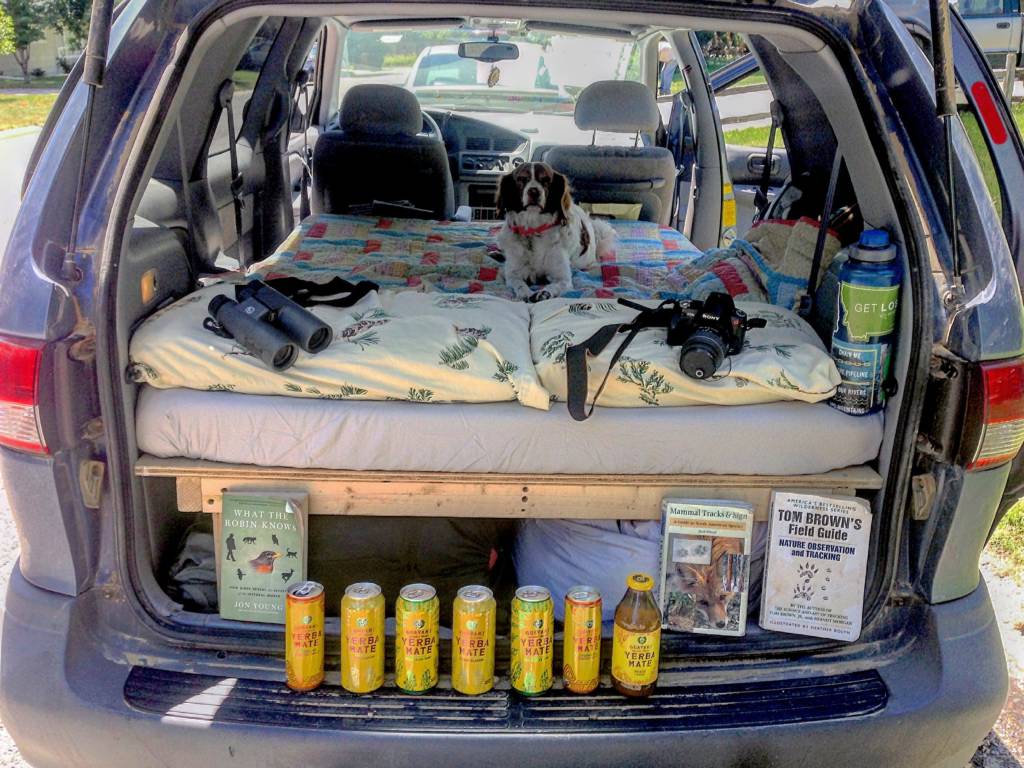 A few of my loves: my dog, cans of Guayaki Yerba Mate, books, binoculars and my van